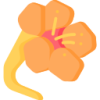 ag9游会 logo
