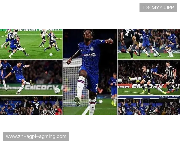 2019赛季英超球队的表现及赛季预测 2019赛季英超球队的表现及赛季预测