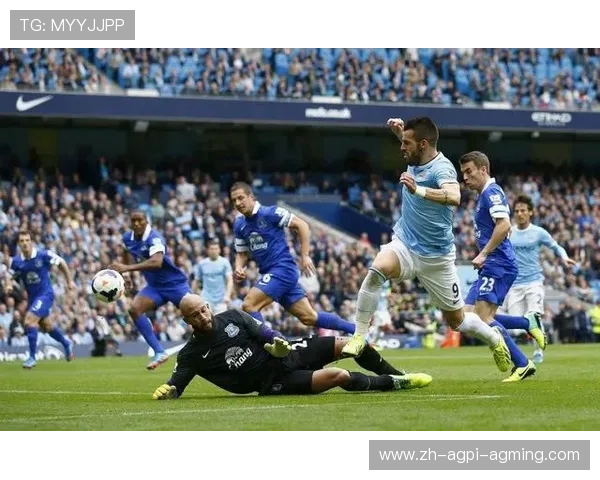 李铁效力过的英超球队回顾