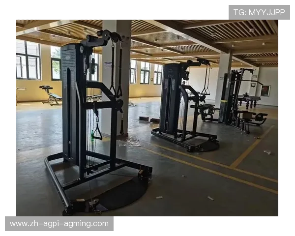 健身器材商用与家用的功能差异及如何根据场景进行科学选择