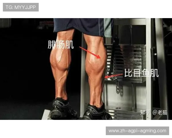 哪种健身器材适合练小腿肌肉详解