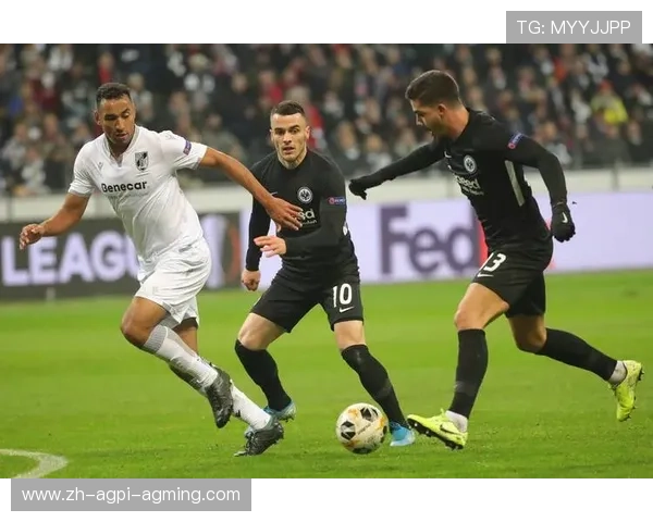 法甲球员技术特点及赛季表现详细解析