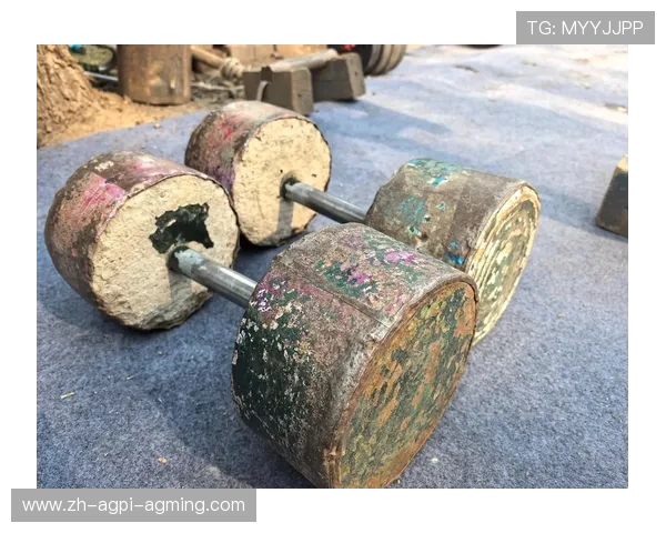 自制多功能健身器材:DIY健身器材创意和方法 自制多功能健身器材:DIY健身器材创意和方法